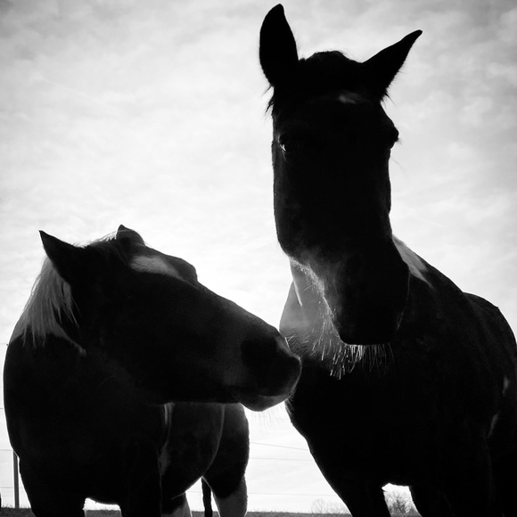 Meet your Posher, Jenny - Picture 10 of 17